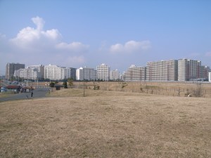 �V�Y���̃}���V�����Q