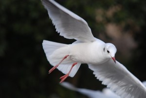 ���̓J����...