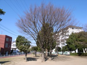 �ߏ��̌���