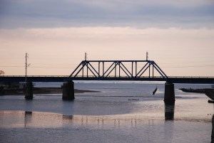 �t�B�b�g�̎ԑ�����