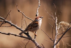 ����񂿂��