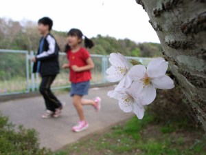 �T�N���T�N