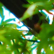 �F����&���g�r