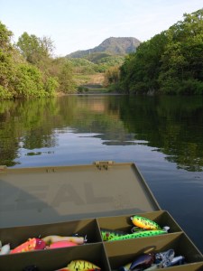 ���̖����X�|�b�g