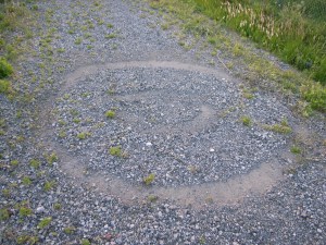 ���~����