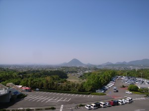 ���ǂ񉮂�100���I