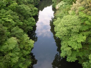 �_������