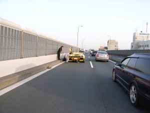 �����{����