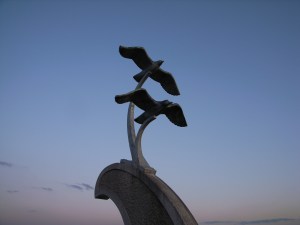 �J�����̑�����