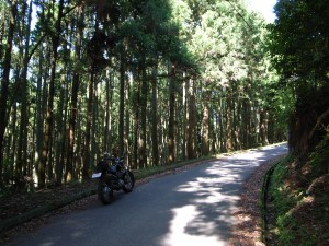 �c�[�����O��ł̈�R�}