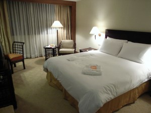 �����̗l�q