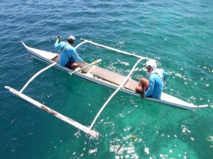 �t�B���s�������H����V���R����