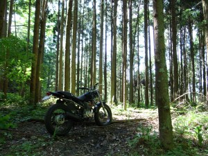 2�T�O�ɎB����FTR