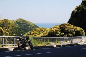 ����FTR�ƂƂ���