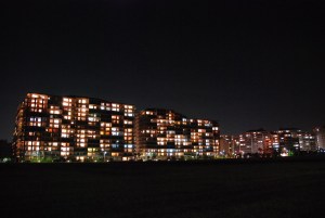 �V�Y���̖�i