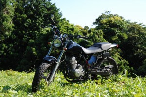 ���ʃo�C�N�̗YFTR