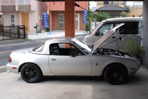 �{���̃��h�X�^