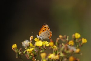 �x�j�V�W�~