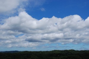 ���낻��~�J�������H