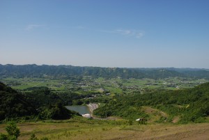 ���약��(��)