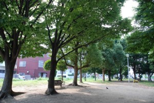 �ߏ��̌���