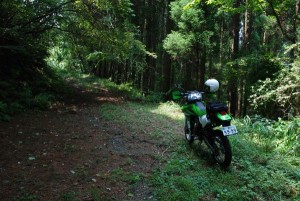 林道大地蔵線その2 林道大地蔵線その2