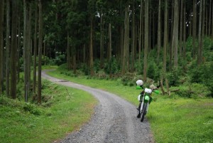 お気に入りの林道 お気に入りの林道