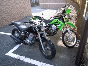 不良親父の相棒 不良親父の相棒