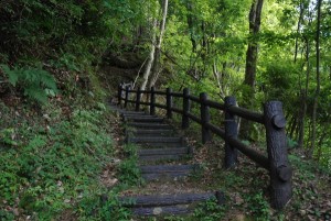 ハイキングコース ハイキングコース