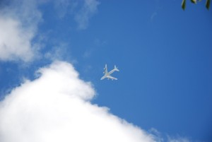 全日空機 全日空機