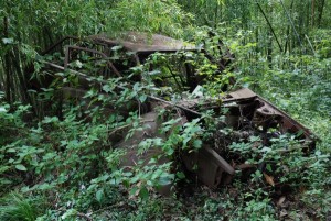 なんてクルマ？