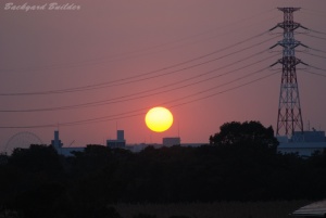宮内庁新浜鴨場@行徳