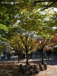 お気に入りスポット