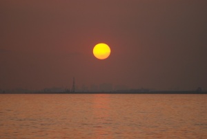 ネット元年 ネット元年