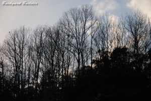 2007年おおとり 2007年おおとり