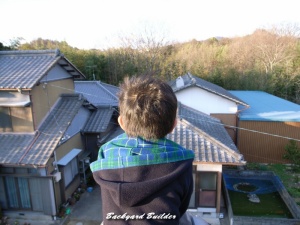 わんぱく盛りな甥