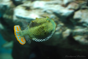 ちょい動体ぶれ(^^;