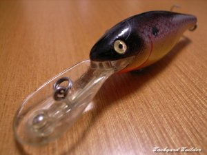 レーベルDDシャッド