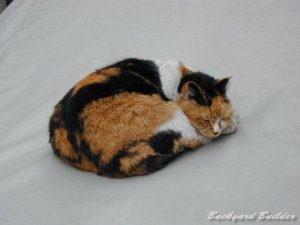 元気かなぁ、こいつ