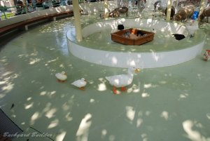 ア～フラック！