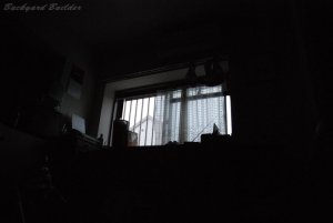 午後のひととき