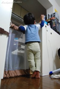 怖いものはバリカン