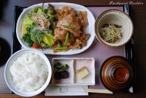 裾野豚生姜焼肉セット