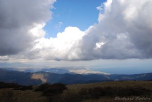 白トビ気味なヘタクソ写真(^^;