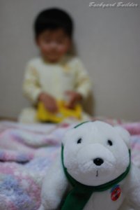 コカコーラのシロクマ