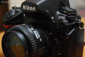 D700の写真じゃなくてスマン