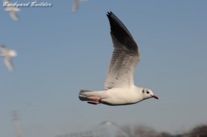 アングルいまいち...　(^^;