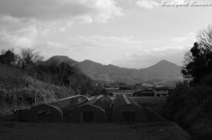 故郷は遠きにありて想うもの