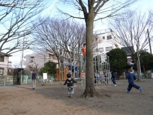 ジャングルジム