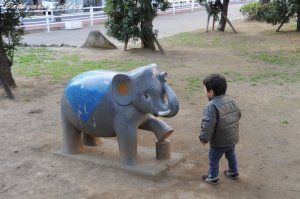 ぱぉーん ぱぉーん